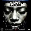 Da Professor & Nesbeth - Why (Remix) - Single